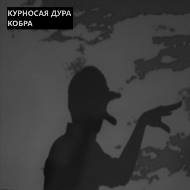 Cover art: Кобра — КУРНОСАЯ ДУРА