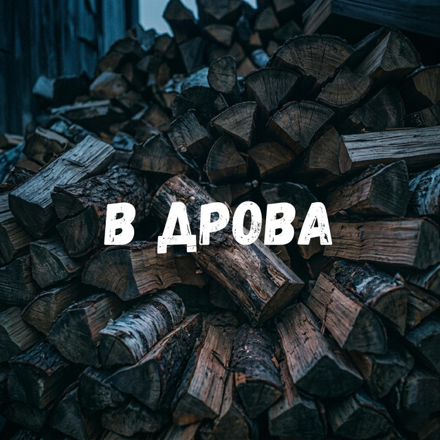 Обкладинка треку В дрова