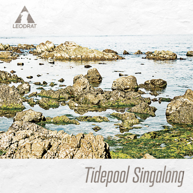 Tidepool Singalong cover