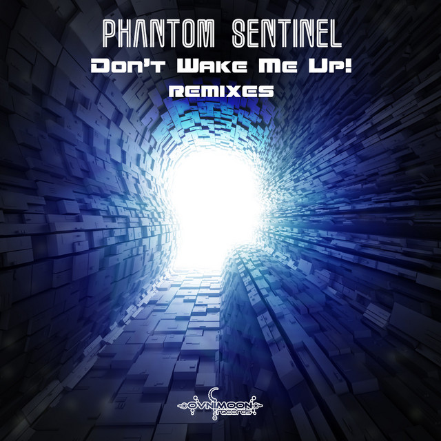 Don't Wake Me Up! (Remixes) cover art