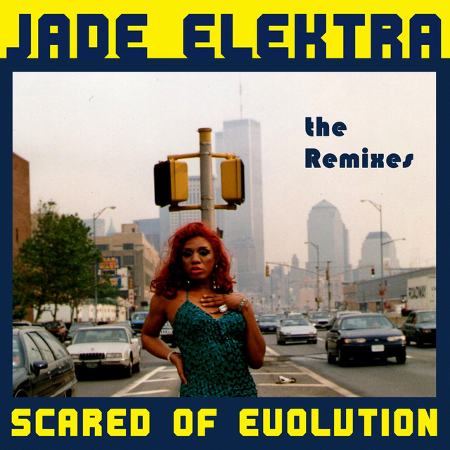 Scared of Evolution: The Remixes cover art