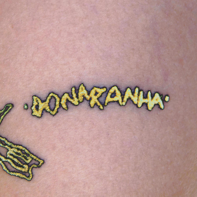 donaranha cover art