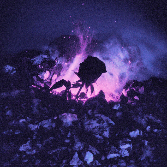 høpe is not gøne - Slowed + Reverb