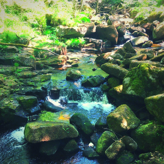 Waterfall and Stream Sounds, Vol. 6 cover art