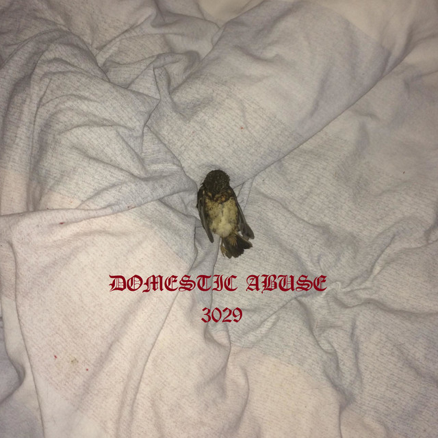 Domestic Abuse