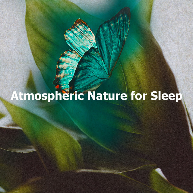 Atmospheric Nature for Sleep - Album by Sounds of Nature for Deep Sleep ...