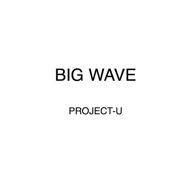 PROJECT-U