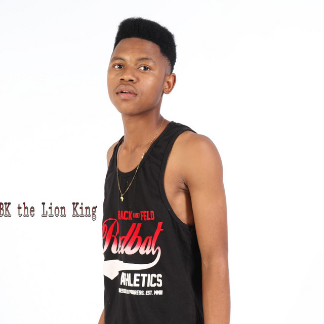 Broken Heart - Single by NBK the Lion King | Spotify