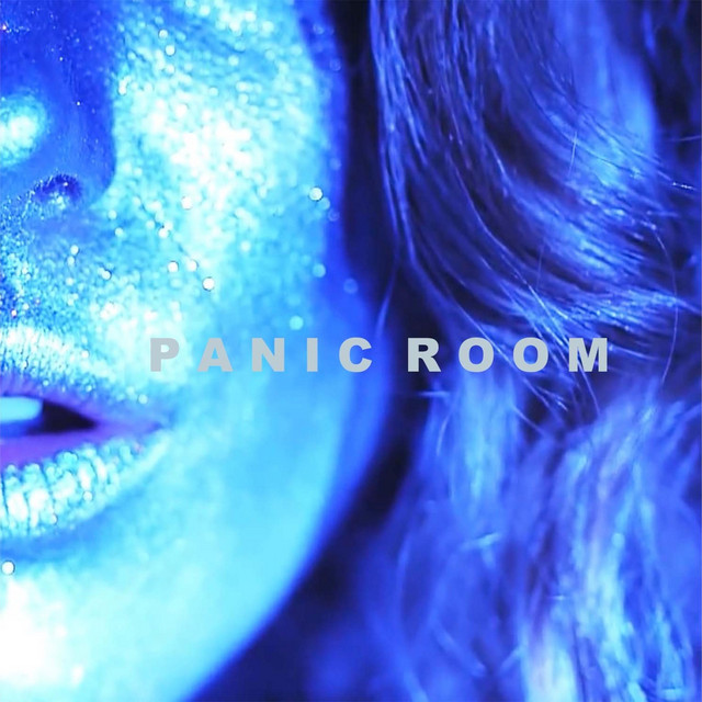 Panic Room cover art