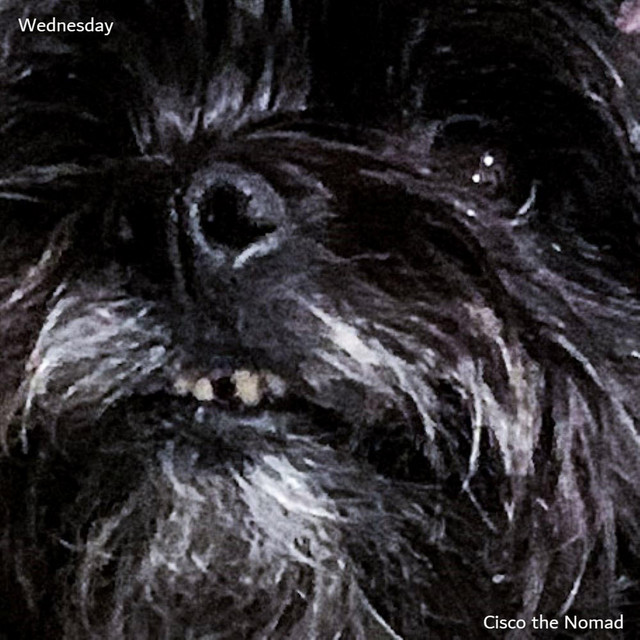 Wednesday cover art