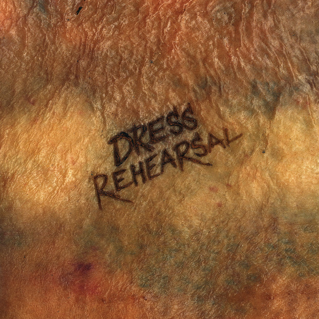 Shake cover art