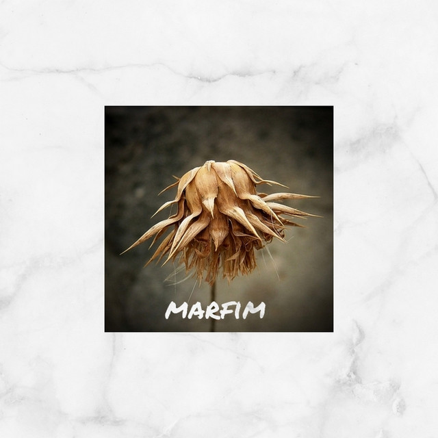 Marfim (Instrumental) cover art
