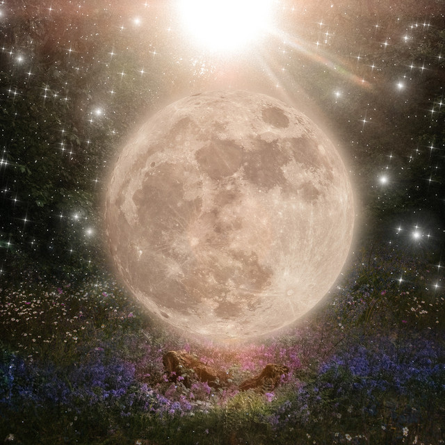 Enter Dreamtime II cover art