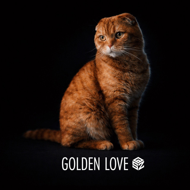 Golden Love (Radio Edit) cover