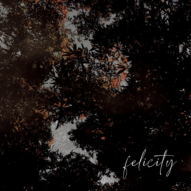 Felicity cover art
