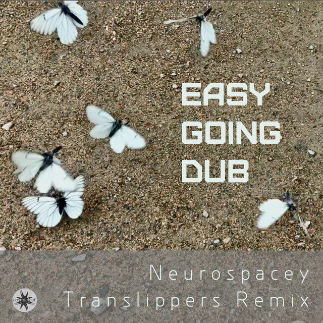 Easy Going Dub (Translippers Remix) cover