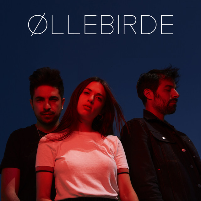 Øllebirde artwork