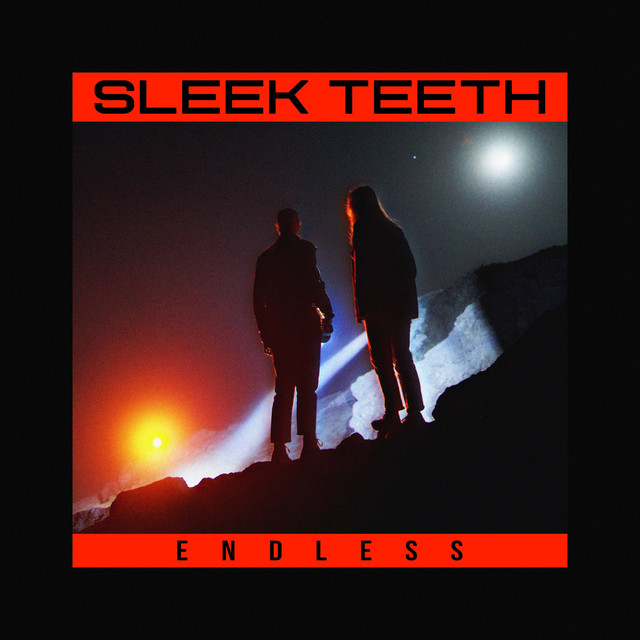Endless cover art