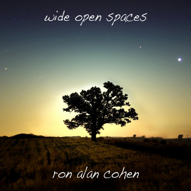 Wide Open Spaces cover art