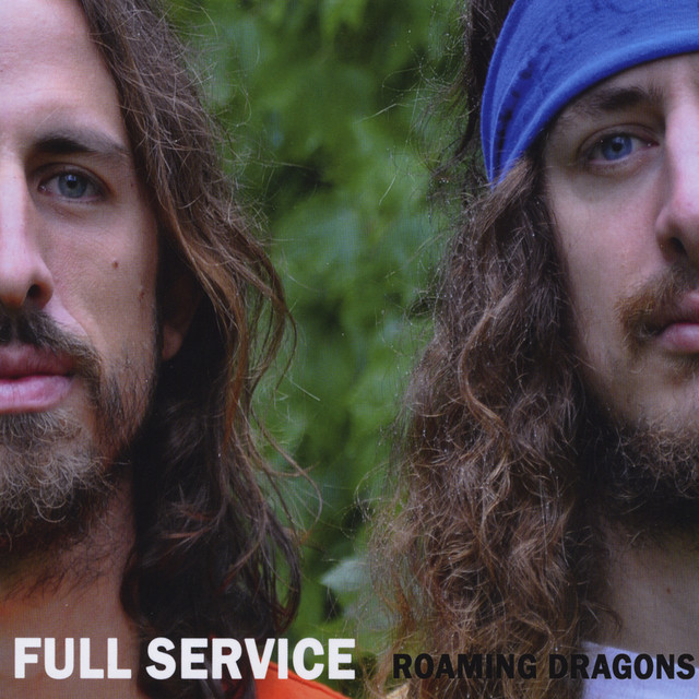 Roaming Dragons cover art