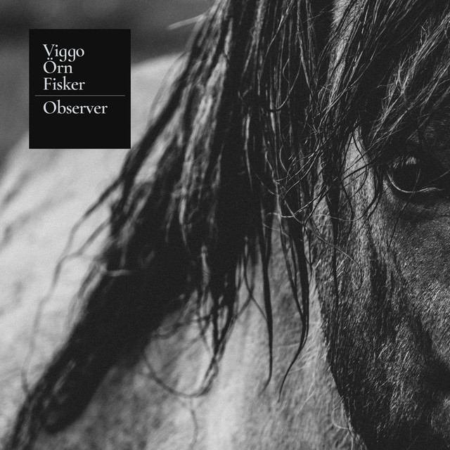 Observer
