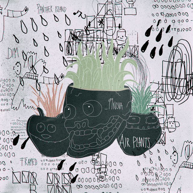 Air Plants cover art