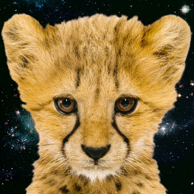 Simon and The Astronauts Featuring Rachel Haden cover art