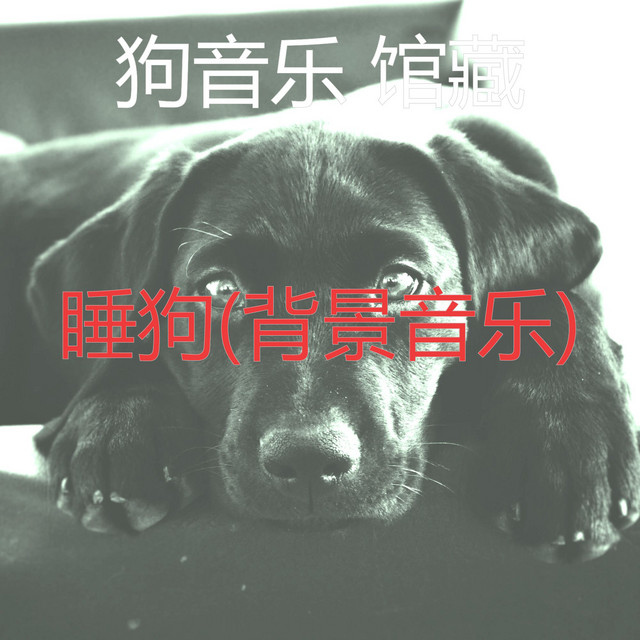 回忆 幼犬 Song And Lyrics By 狗音乐馆藏 Spotify