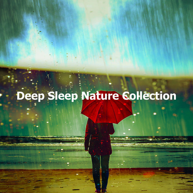 Deep Sleep Nature Collection - Album by Rain Meditations | Spotify