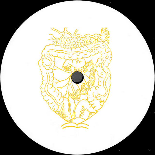 Gastric Pulse cover art