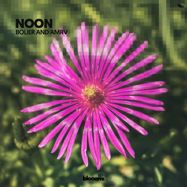 Noon album image