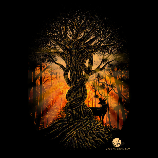 Fulgor Solis - Minnado Remix album art