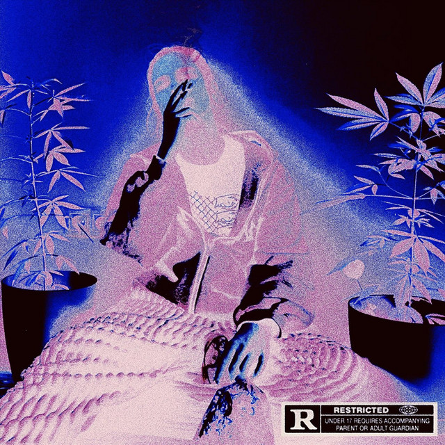 Обкладинка: Mysora Blyadi — Xanshine