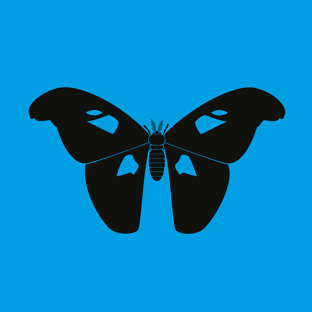The Butterfly Effect LP cover art