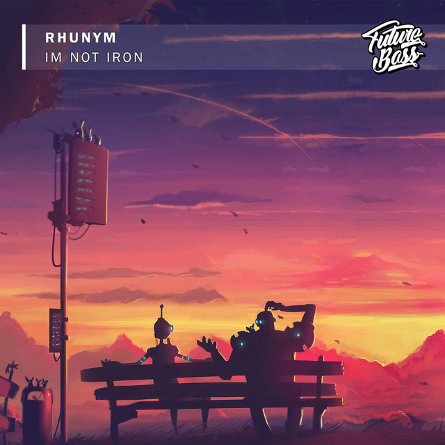 Im Not Iron cover art