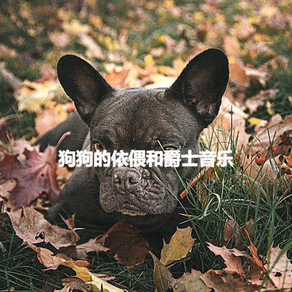狗狗的依偎和爵士音乐 cover art