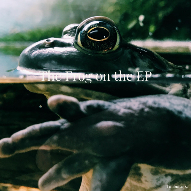 The Frog on the EP cover art