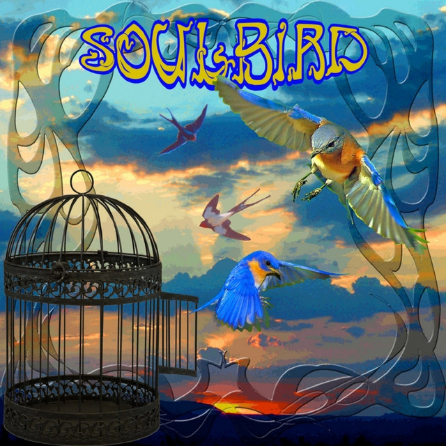 SoulBird cover art