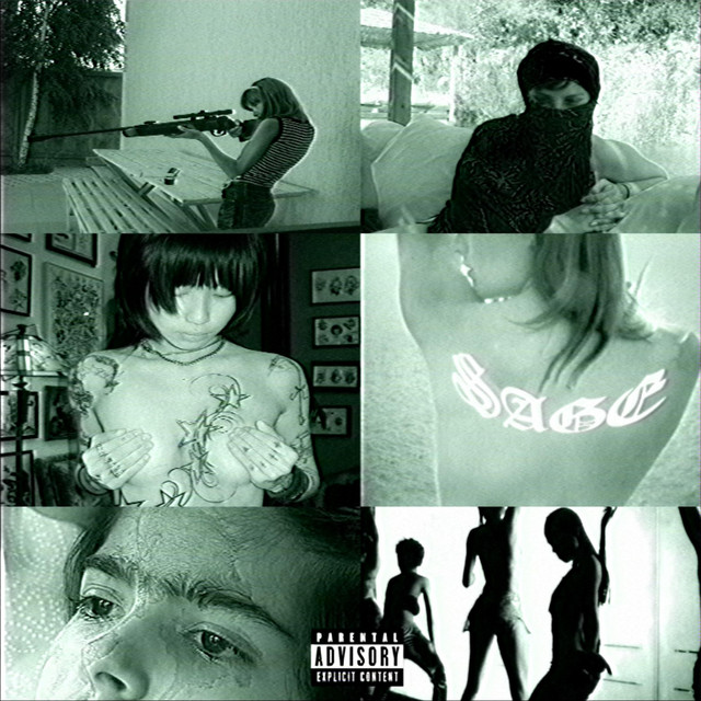 PDX* cover art
