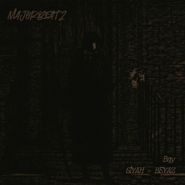 Bay Siyah-Beyaz cover art
