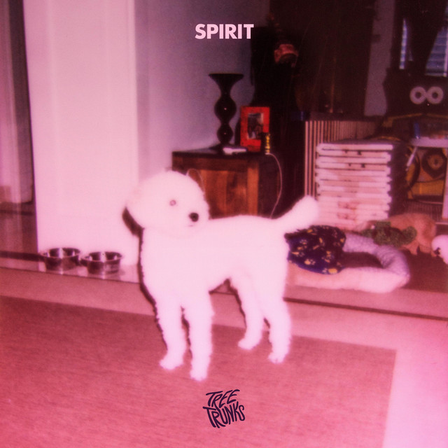 Spirit cover art