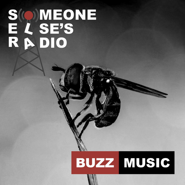 Buzz Music cover art