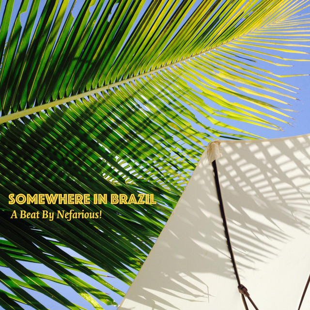 Somewhere in Brazil cover