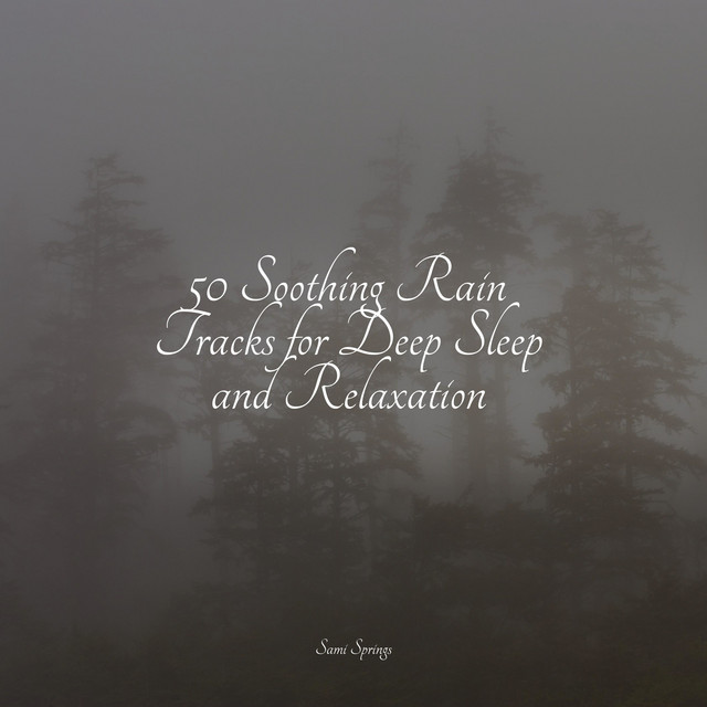50 Natural Rain Sounds - Album by Sleepy Night Music | Spotify