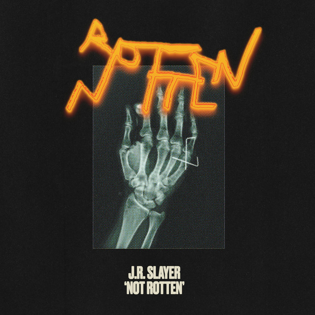 NOT ROTTEN cover art