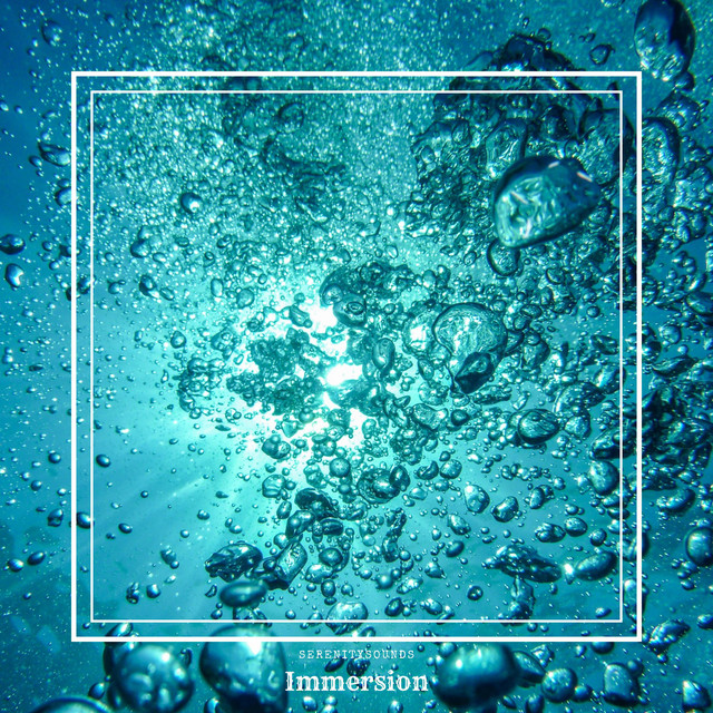 Immersion cover art