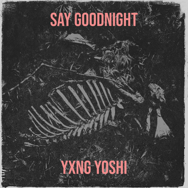 Обкладинка: Say Goodnight — Yxng Yoshi