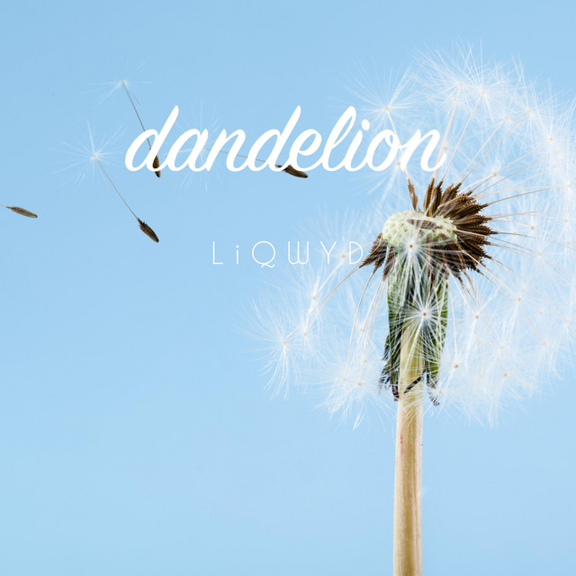 Dandelion - Single by LiQWYD | Spotify