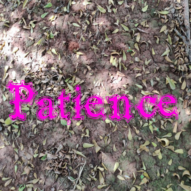 Patience cover art