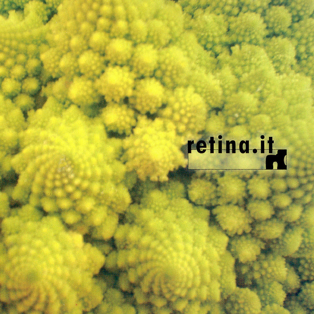 S/T cover art